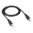 USB08-0016: Type B/Type B, M/M, 4.9m